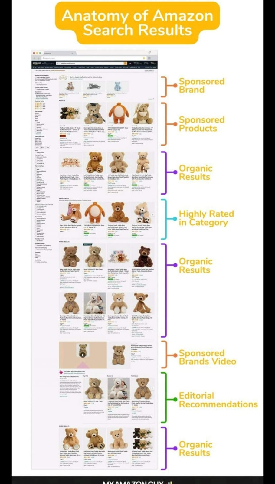 Anatomy of Amazon Search Results